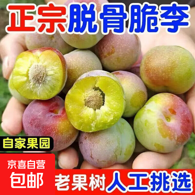 京喜加四川五月脆脱骨李【闪送多地次日达】凤凰李子新鲜水果送礼品物盒 甄选果【单果15g+】 5斤装【蕞划算】净重4.5斤
