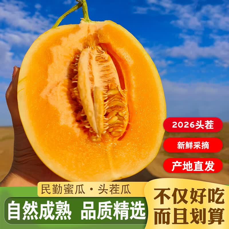 冉沃优选现摘头茬民勤蜜瓜白兰瓜新鲜黄金蜜瓜当季水果沙漠红金宝甜香瓜 【金红宝】净4.5-5斤(1-2枚) 现摘速发