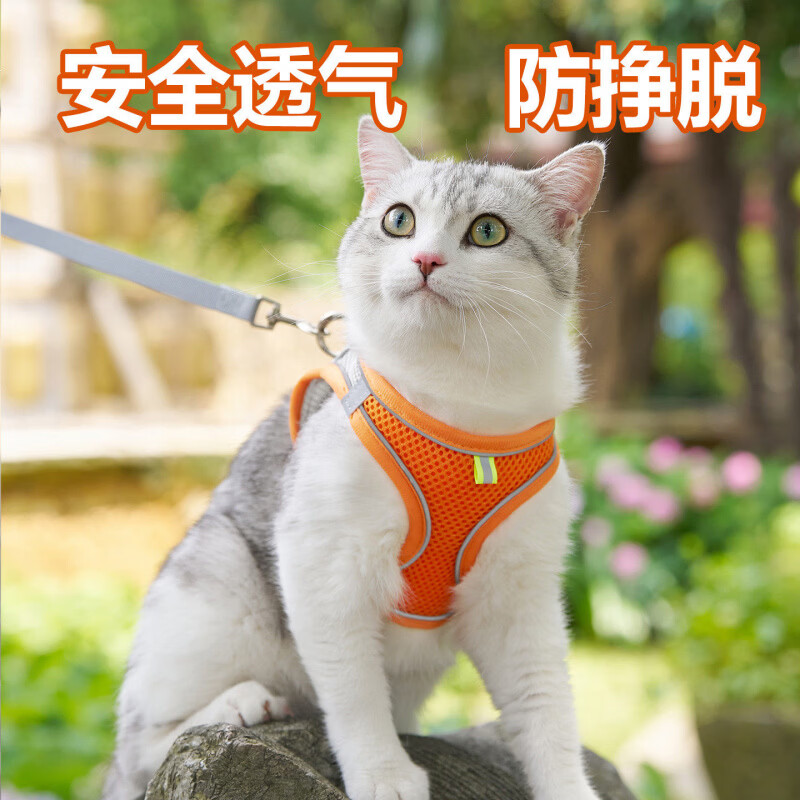 幼猫牵引绳宠物猫咪背心式胸抱婴袋外出英短溜猫专用绳猫链子防挣 绿拼灰+5米自动牵引绳 XXS【1-3斤】