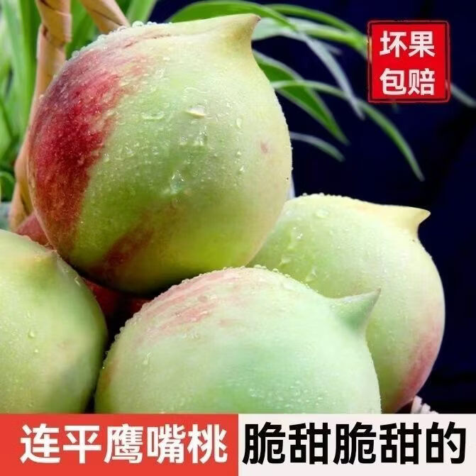 正宗广东河源连平上坪鹰嘴蜜桃脆甜新鲜水果桃子水蜜毛桃产地直发 5斤装【精品中果120g以上】