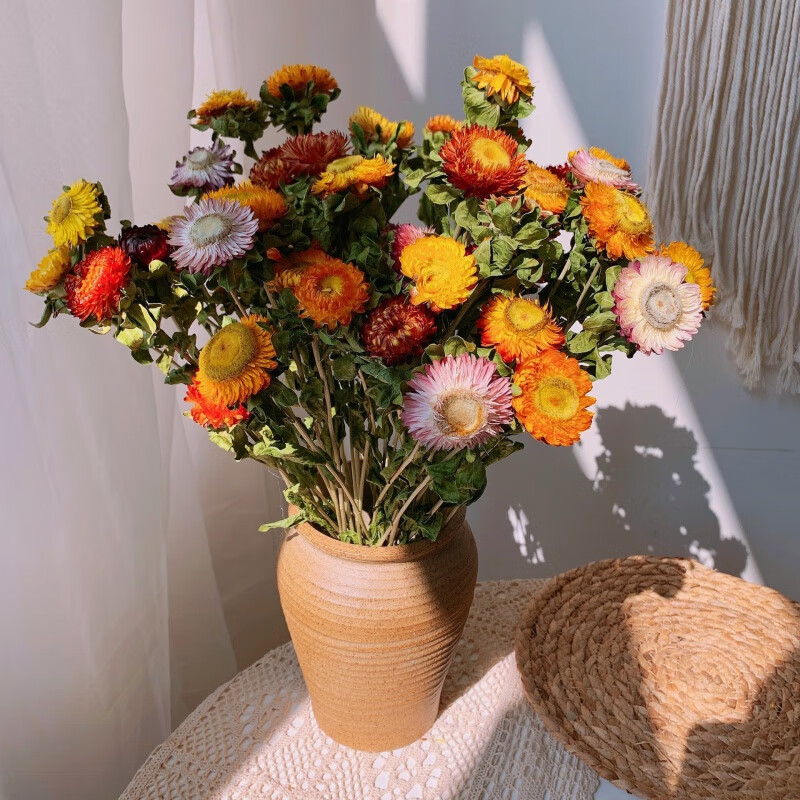 菊七彩菊小雏菊花束拍摄道具客厅家居装饰摆件 七彩菊一束(20花头) 花