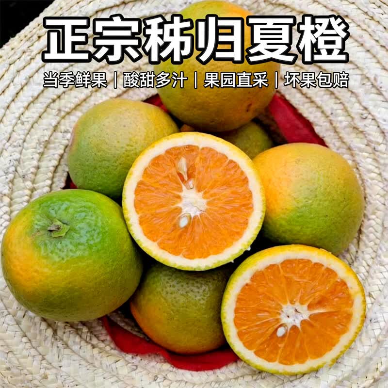 果小恩湖北秭归夏橙新鲜橙子应季水果现摘现发整箱包邮手剥脐橙鲜橙 单果60-70mm【小果二级果】 含箱5斤 净重4.8斤