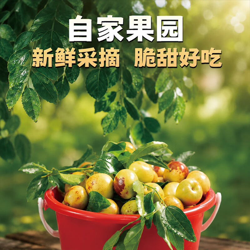 异果恋冬枣新鲜脆枣 山西运城牛奶冬枣现摘现发水果礼盒装整箱 3斤装 普通快递