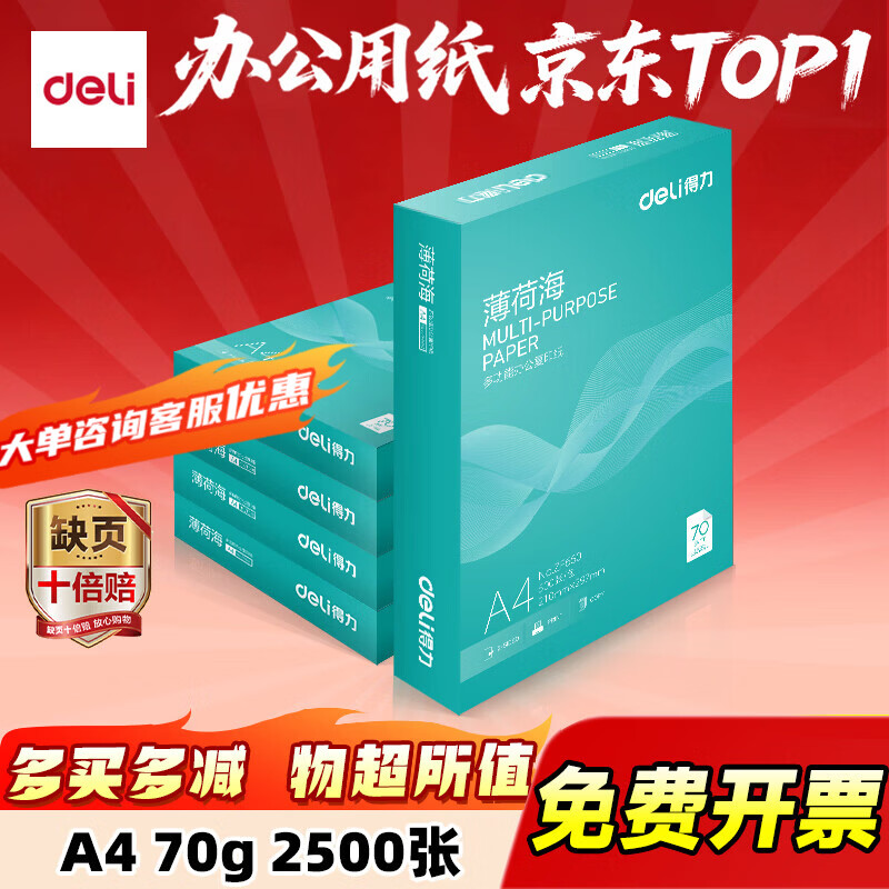 得力（deli）办公打印机纸复印纸打印纸 办公用品 双面复印顺畅打印 儿童绘画书写草稿纸 打印纸白纸采购优选 A4 5包/2500张【常规70g】薄荷海
