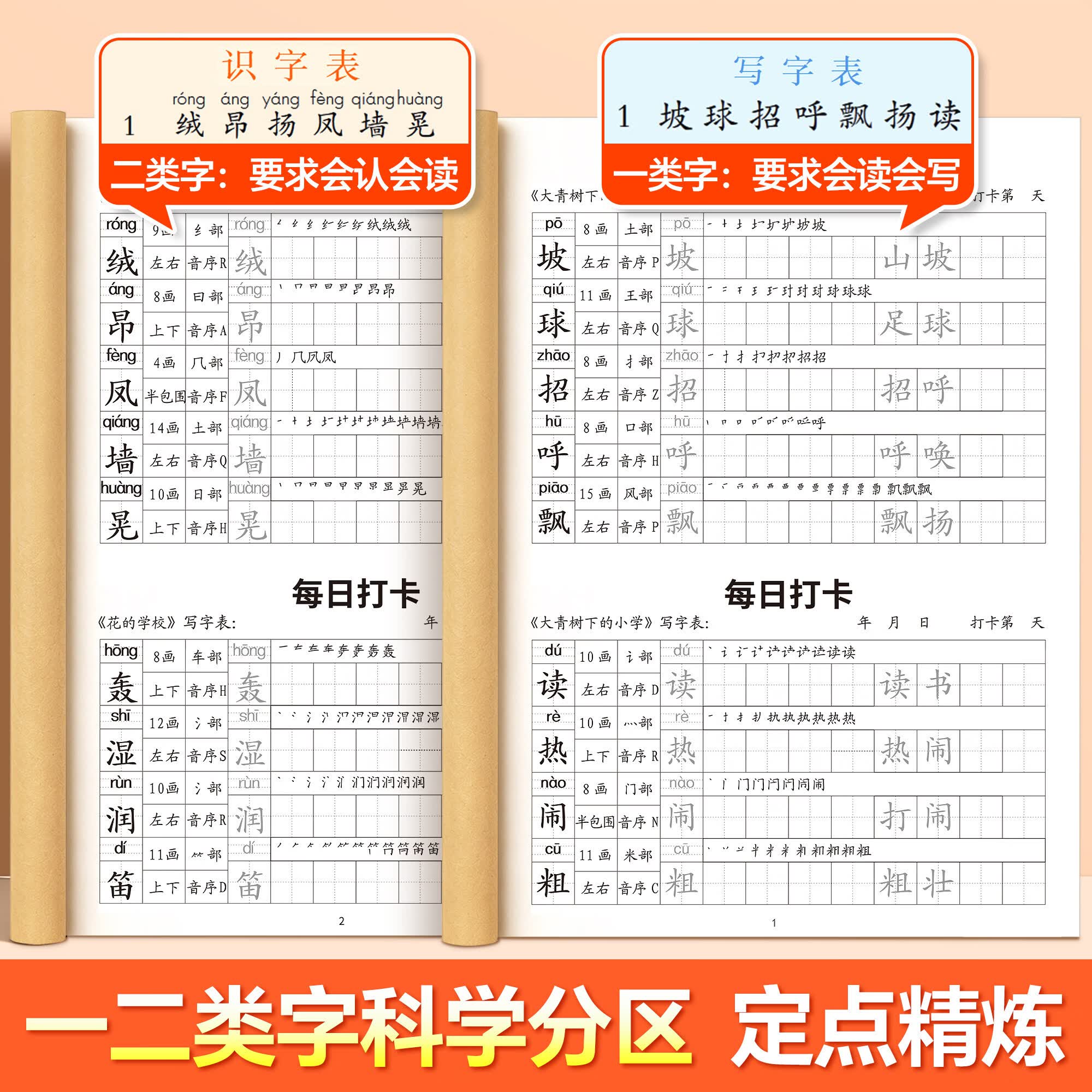 金枝叶三年级上下册练字帖人教版语文同步生字字帖每日一练小学生专用打卡练字本识写字表笔画笔顺描红本 三年级上册【送组词】含一二类字