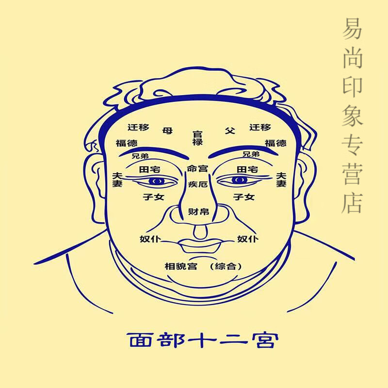 相图百岁流年图面部十二宫图流年运气面相部位运势歌塑封防水d a4-21*