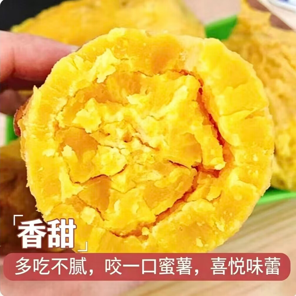 林大馋陕西正宗新鲜板栗红薯蜜薯 现挖粉糯番薯地瓜 粉面薄皮香甜糯蔬菜 5斤精选中果【净4.7斤起】单果125g起 粉糯香甜秦薯5号 秦岭产地直发-普通人没吃过的品种