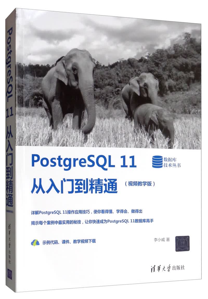 PostgreSQL 11从入门到精通（视频教学版）/数据库技术丛书