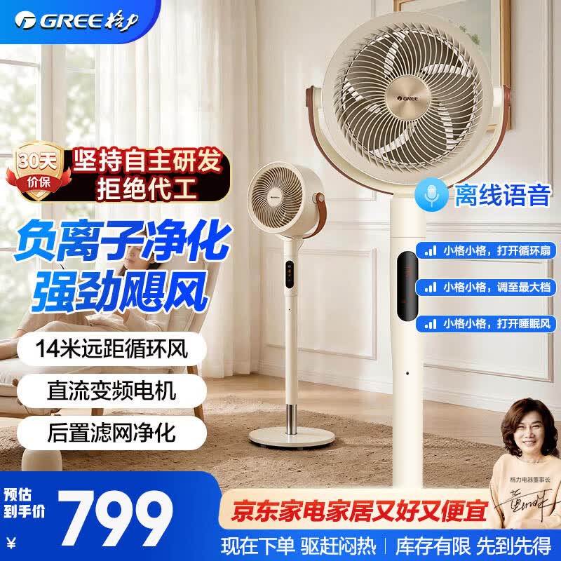格力（GREE）【净化循环风】家用空气循环电扇智能语音遥控落地扇负离子直流节能轻音换气电扇FXDZ-2305Bvg5