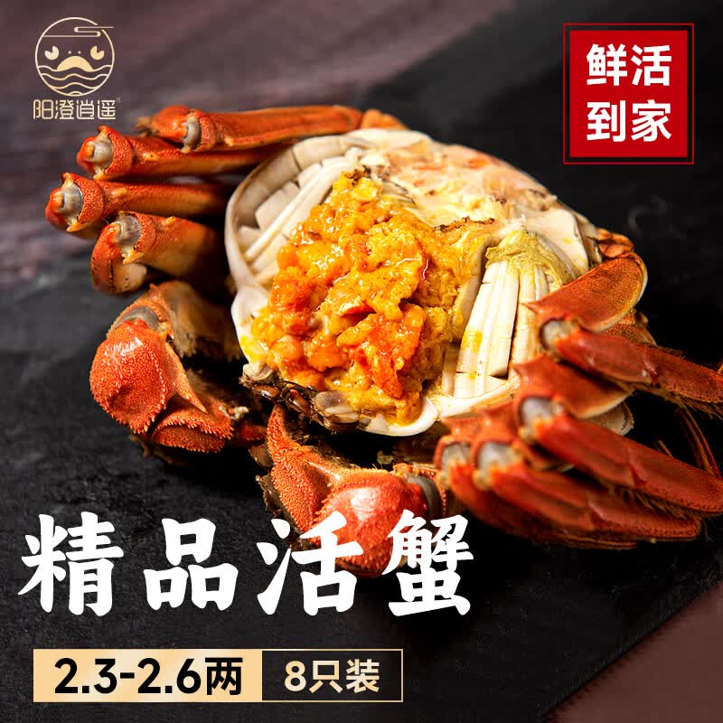 【活蟹】阳澄逍遥 大闸蟹六月黄2.3-2.6两8只鲜活螃蟹现货水产礼盒海鲜苏州源头直发