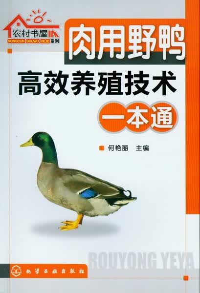 农村书屋系列--肉用野鸭高效养殖技术一本通 何艳丽 主编