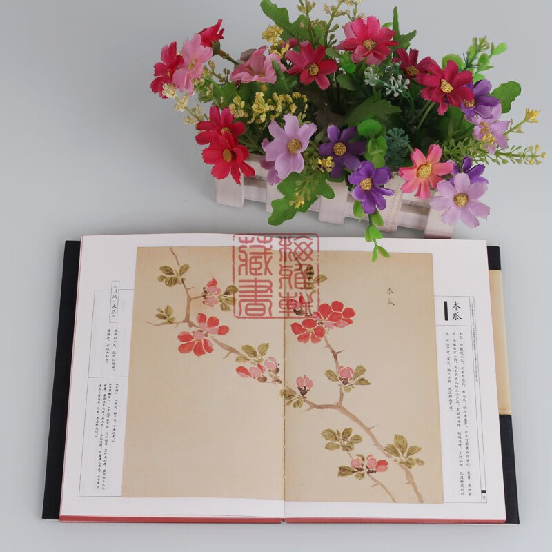 美了千年 却被淡忘 诗经名物图解 国学经典 诗经中的植物 中国画报出版社