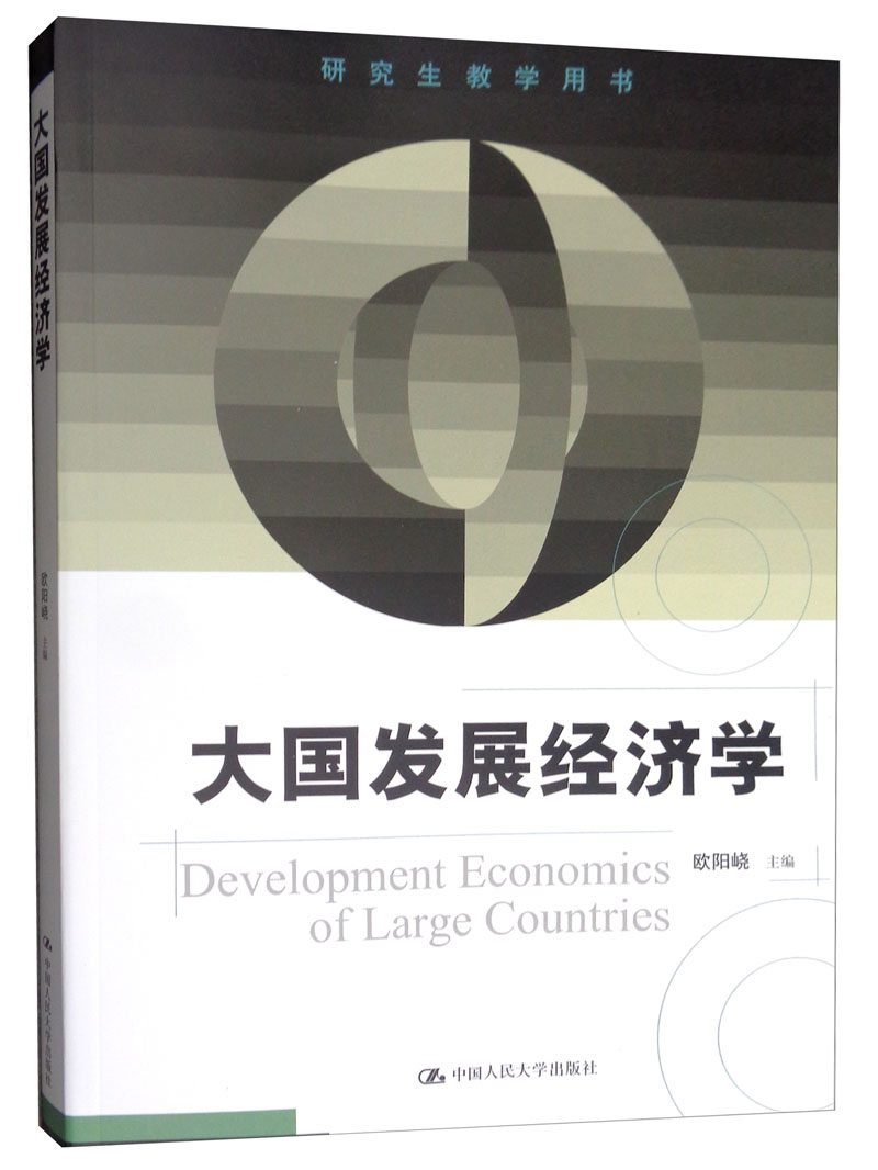 大国发展经济学（研究生教学用书）