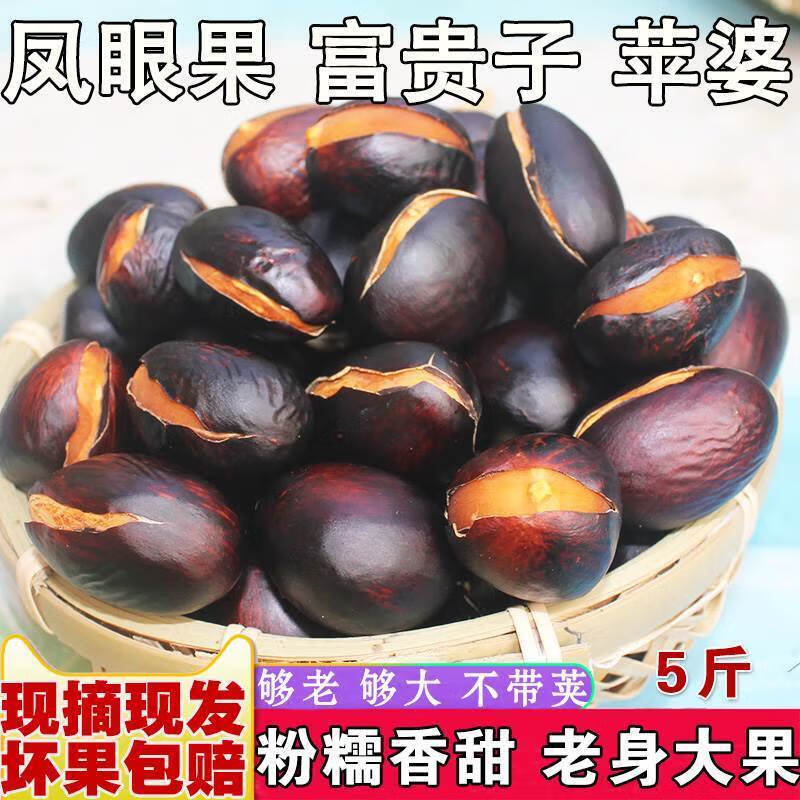 正宗广东凤眼果【顺丰快递】当季新鲜水果富贵子产地直发苹婆软糯 2斤【优选装】带壳