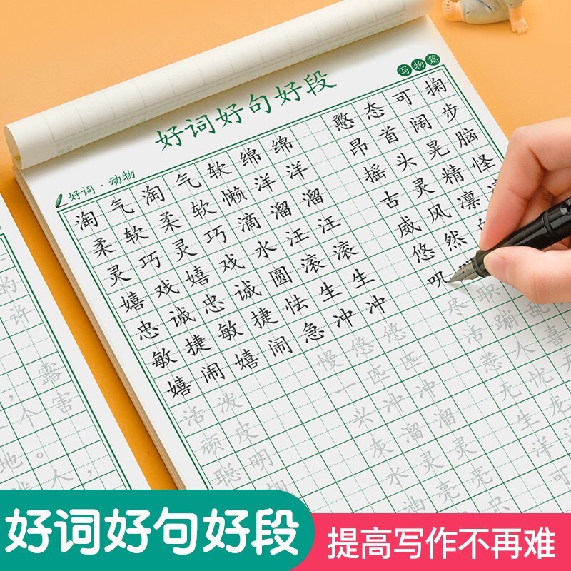 好词好句练字帖小学生专用字帖钢笔楷书儿童每日一练硬笔书法词 好词