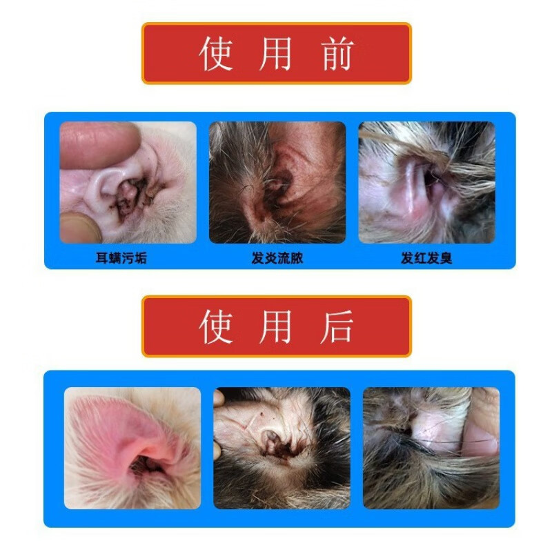 佳尔斯氟苯尼考甲硝唑滴耳液狗狗耳螨滴耳液耳朵药宠物猫咪滴耳液耳臭耳药除螨耳炎外耳炎耳螨专用抗菌 2瓶更划算 现货当日发