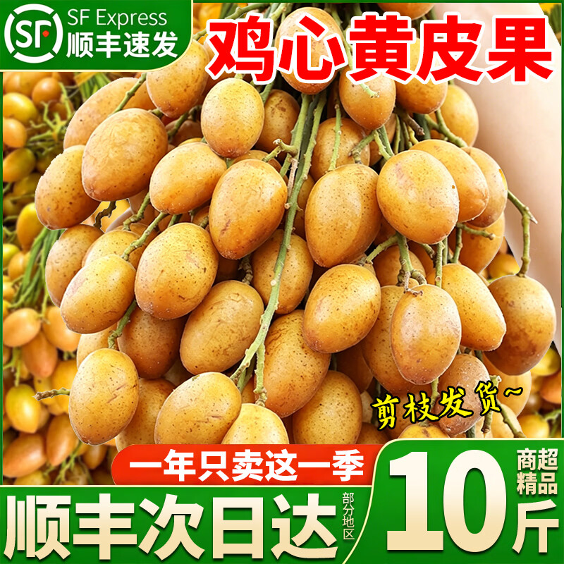 沐小七果蔬 广东鸡心黄皮果【顺丰-多地次日达】新鲜小核无核黄皮水果礼盒 3斤装【爆款主推-80%选择】净2斤 7A级精选果【酸甜多汁】自吃推荐