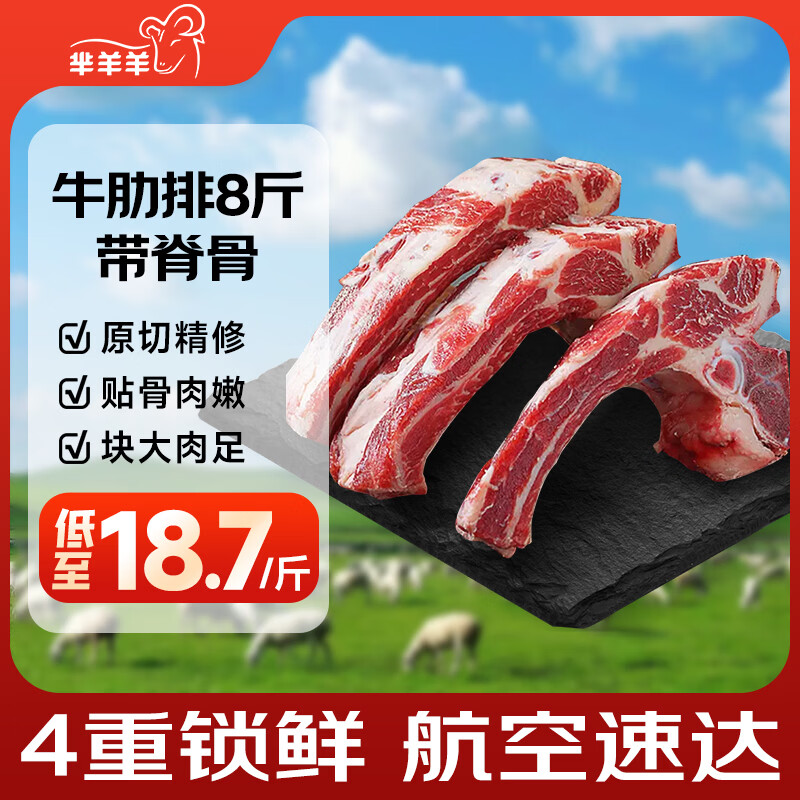 芈羊羊国产黄牛肉 原切带骨牛肋排净重8斤 生鲜牛排骨食材清真源头直发