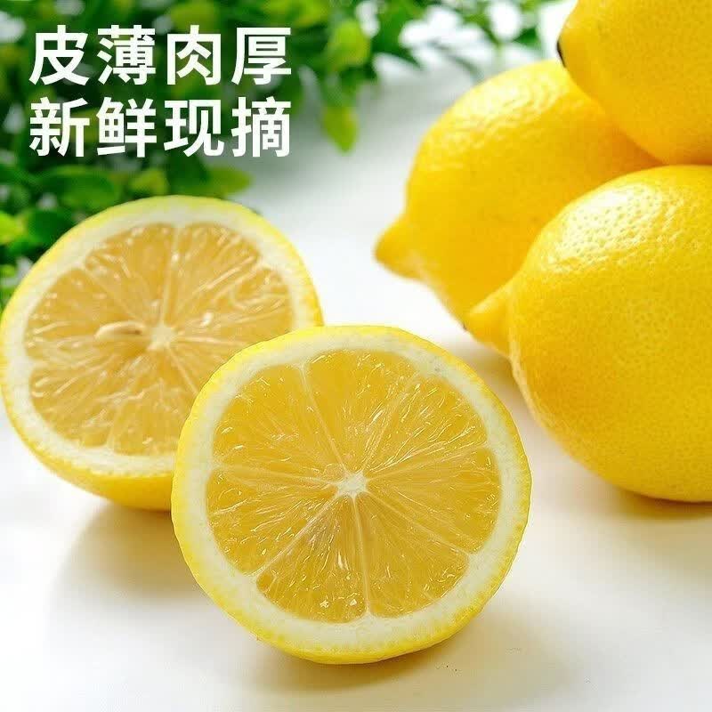 次日鲜语广东香水柠檬|薄皮黄柠檬|清香爆汁|非四川安岳黄柠檬 【精品】一级无籽5斤装 65-180克
