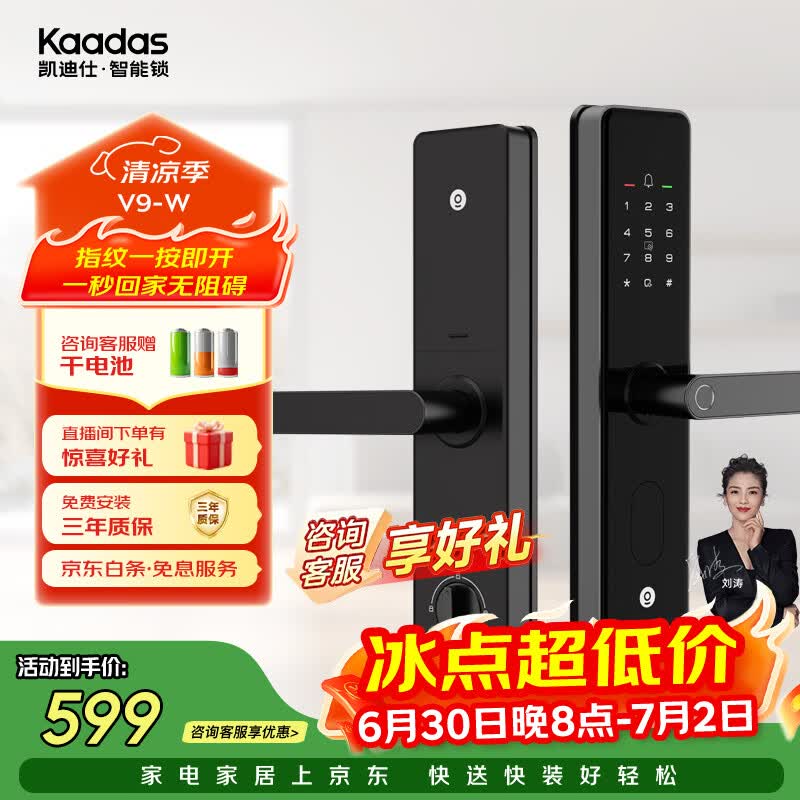 凯迪仕（KAADAS）智能门锁 指纹识别 防盗门锁密码锁 入户门电子智能锁 V9-W