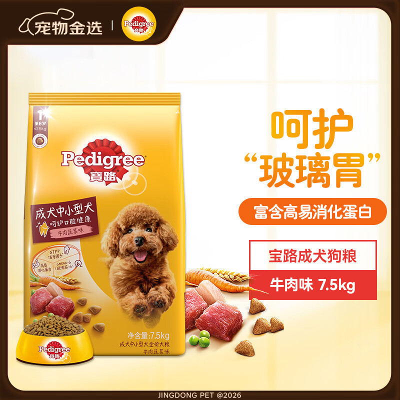 献给青铜铲屎官｜500买的狗却花了5000配齐装备，新手养宠需要哪些刚需品，胡子带你一起选～