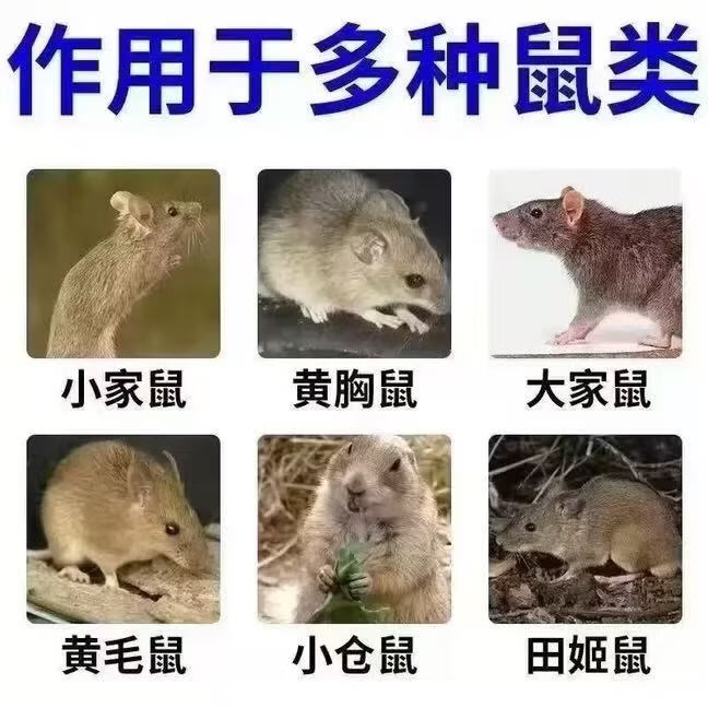 独家秘方老鼠药家用商用耗子药克星稻谷饵料老鼠引诱剂 十斤【大面积商用】