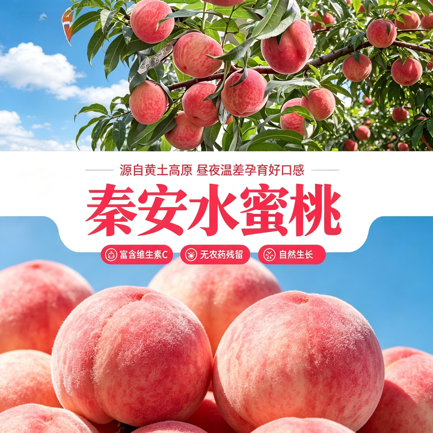 甘肃天水秦安水蜜桃水果新鲜桃子礼盒当季新鲜包邮多地次日达 10颗实惠中果尝鲜单果3-4两（果小慎拍）