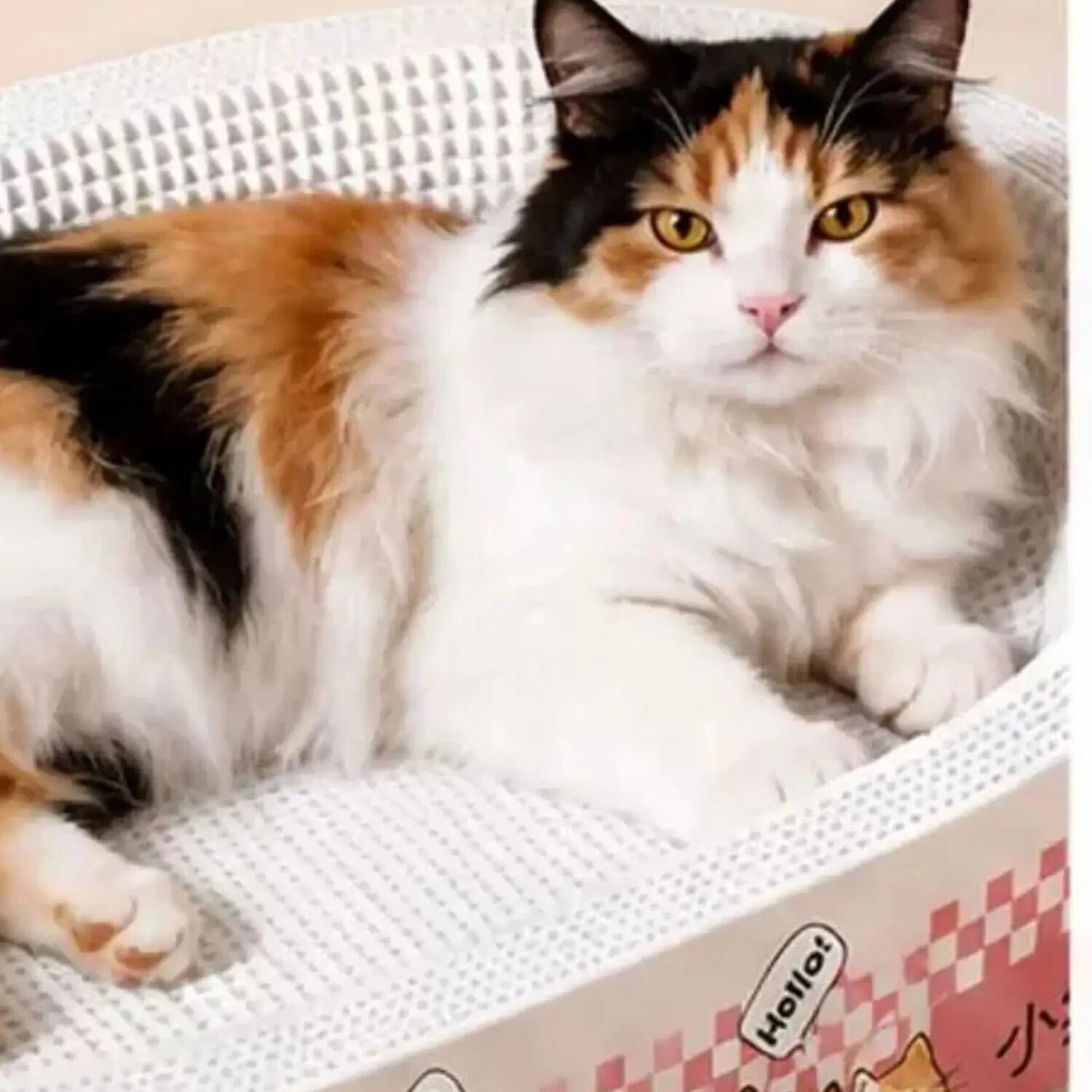 小猫日记白牛卡纸猫抓板耐磨不掉屑猫窝一体加厚猫咪磨爪盆 白卡手绘椭圆款-45中号(适合10斤内)