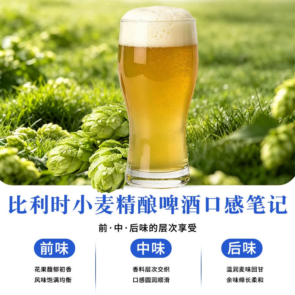 央小啤12P 比利时小麦全麦精酿啤酒 锶型水28天慢发酵进口麦芽整箱送礼 500ml 6瓶 礼盒装