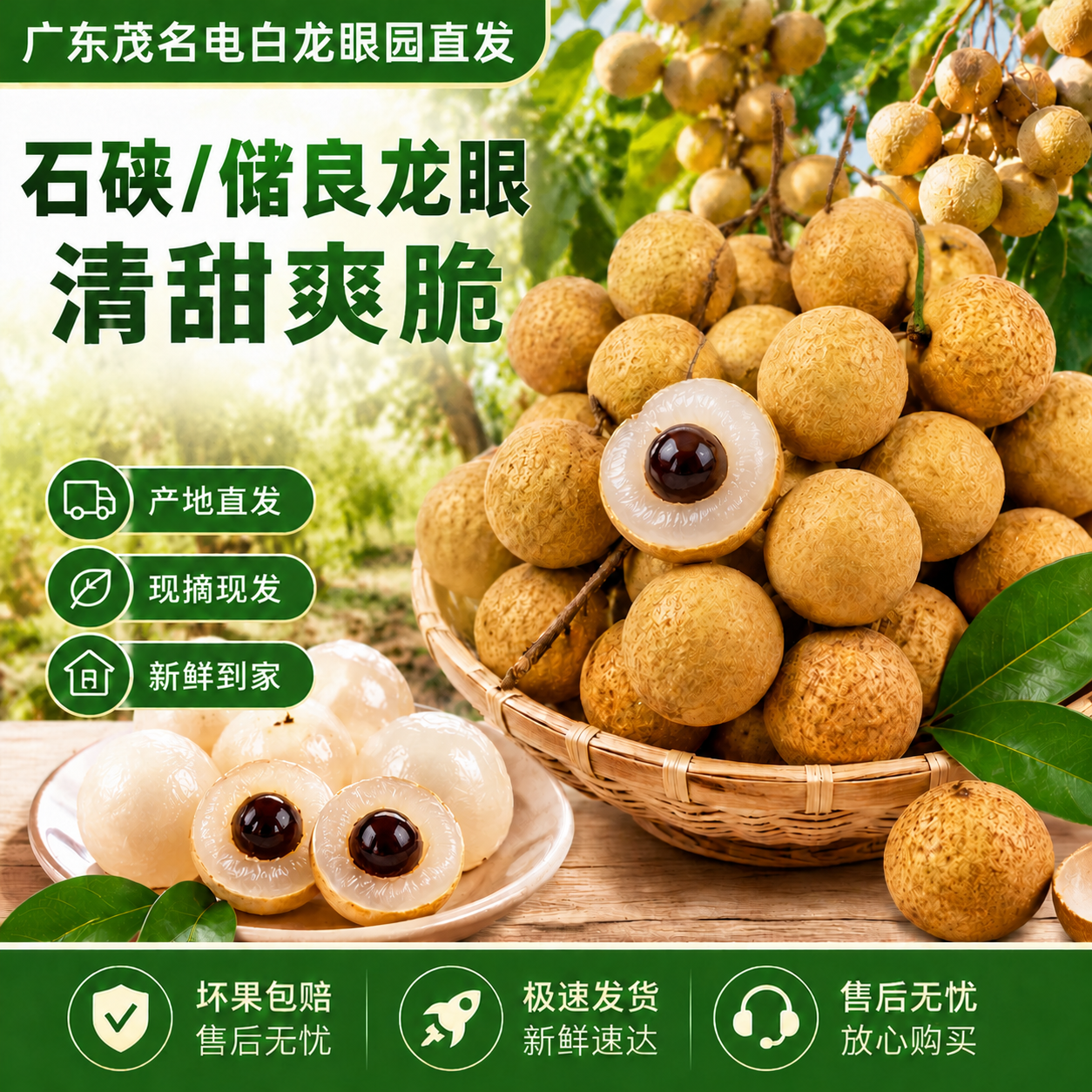 广东茂名电白龙眼果园新鲜龙眼整箱包邮果园现摘现发水果生鲜溯源 活动专区 储良龙眼净重4斤+