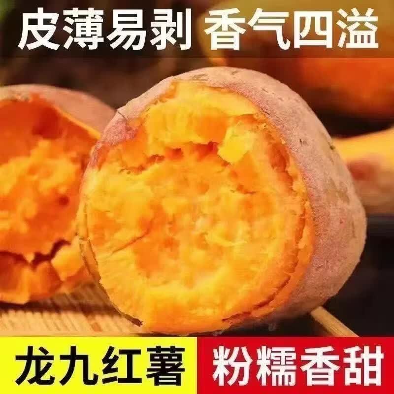 【热卖】农家龙九蜜薯新鲜农家自种沙地蜜薯地瓜整箱批发 蜜薯 5斤 带箱 小果