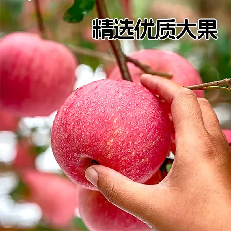 京典光年100% 苹果汁纯鲜榨果汁饮料0添加剂夏季解渴 1L*2瓶