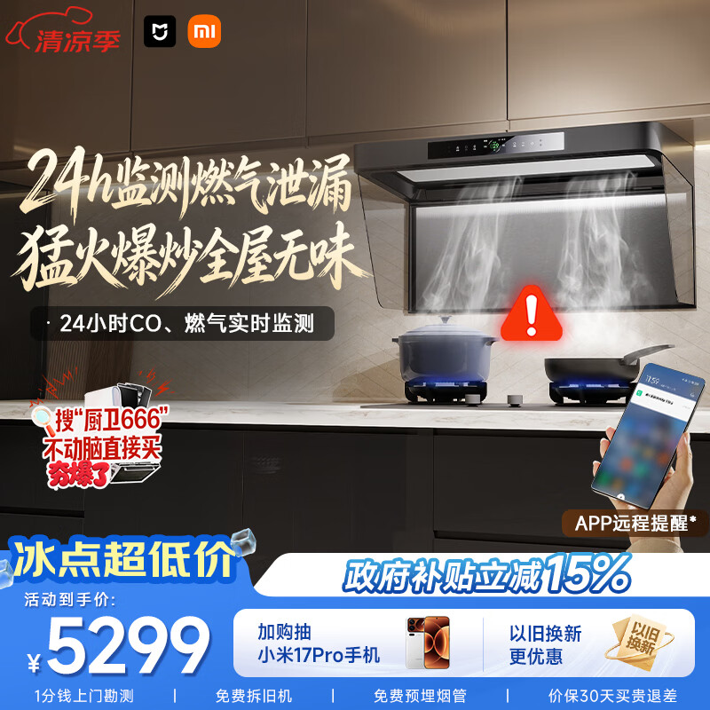 米家小米抽吸油烟机炉灶套装净烟机P2以旧换新上门安装家用大吸力 【高热效燃气灶套装】MJ06CY