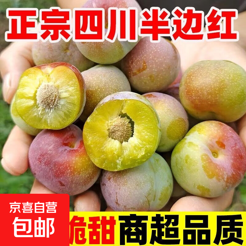 四川李子半边红茵红李土李子新鲜水果青脆李包邮脆甜脱骨离核 2斤