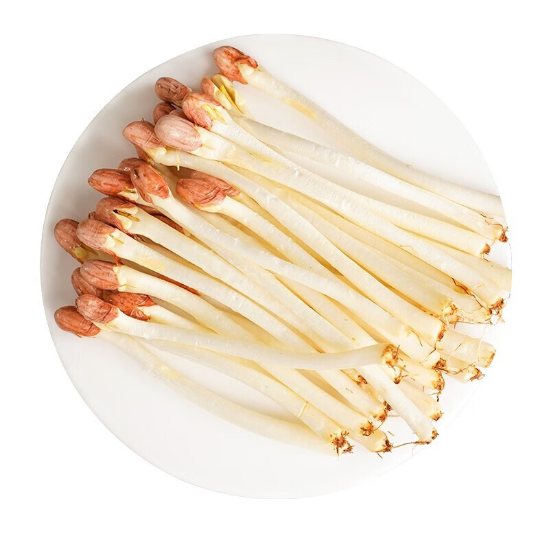 zxc花生芽 新鲜花生苗豆芽菜 长寿芽 火锅蔬菜 1斤