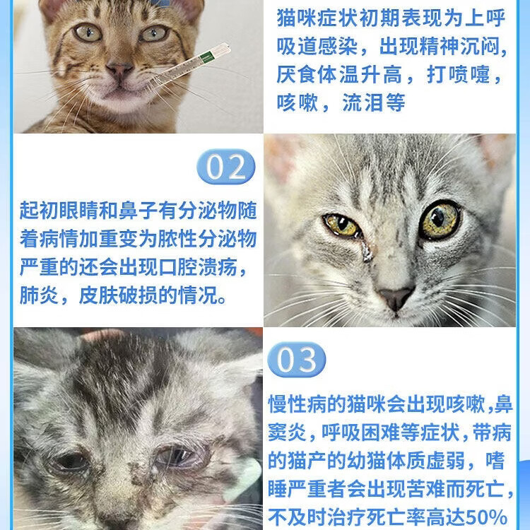 猫鼻支专用宠物猫咪眼睛泪痕眼屎流鼻子涕精神不佳支提升免疫专用 买五盒发九盒【永不再犯】