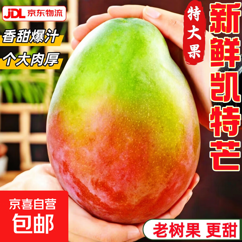 凯特芒大芒果新鲜水果当季整箱云南芒果甜青皮大澳芒现摘京东包邮 【大果】单果400g+ 【带箱9斤】超值划算