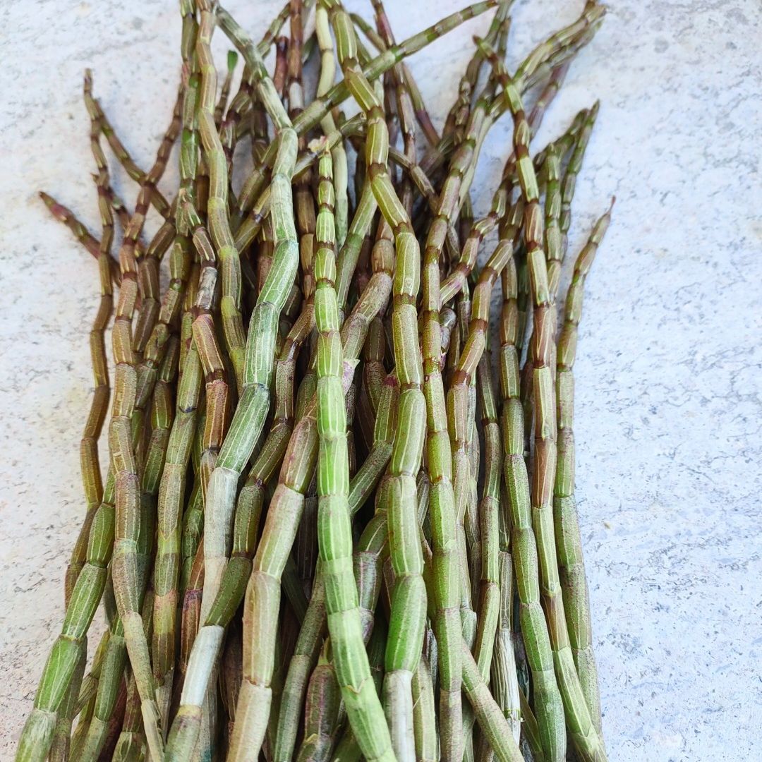 100g500g仿野生 霍山枫斗干条花磨粉 铁皮石斛鲜条250克10一25厘米长