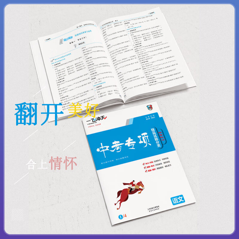 【天津发货后次日达】一飞冲天2027天津中考 2027天津一飞冲天中考模拟试题汇编真题卷全套语文数学英语物理化学历史政治 中考专项总复习历年真题试卷初三九年级 27版中考专项【语数英物化史政】7本