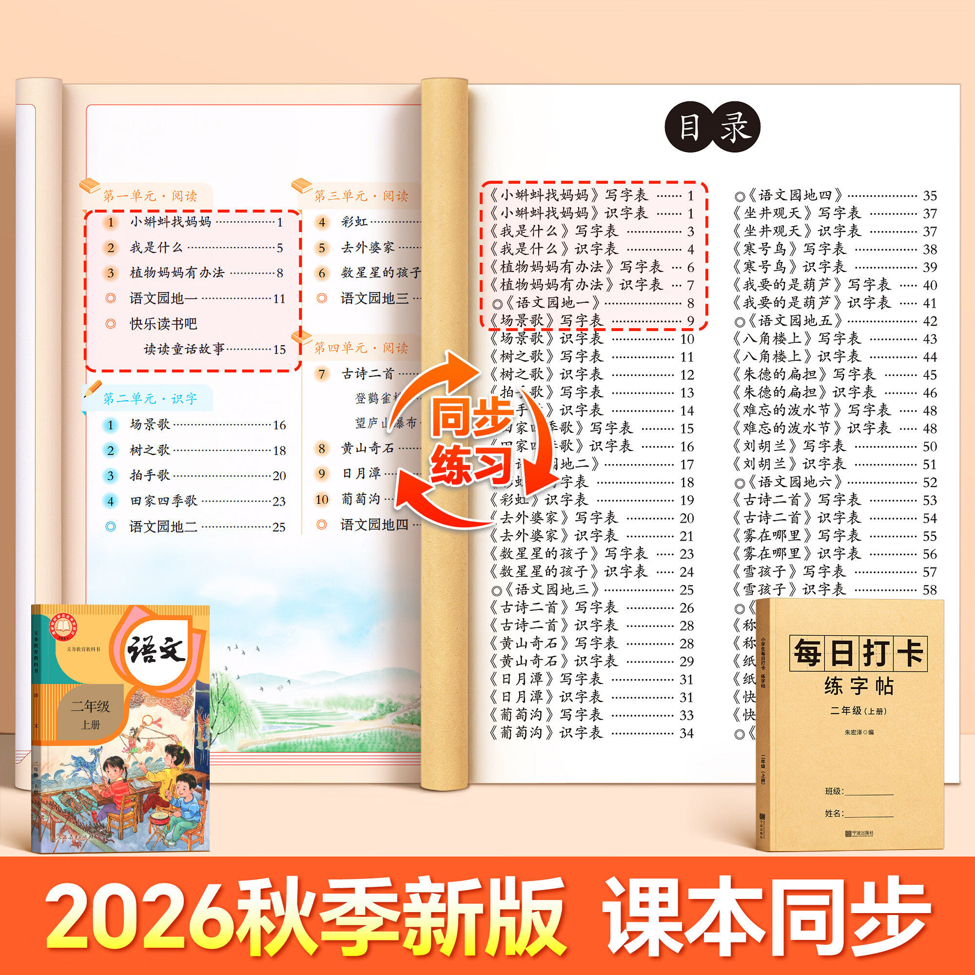 金枝叶二年级上下册练字帖人教版语文同步生字字帖每日一练小学生专用打卡练字本识写字表笔画笔顺描红本 【二年级上册】同步字帖