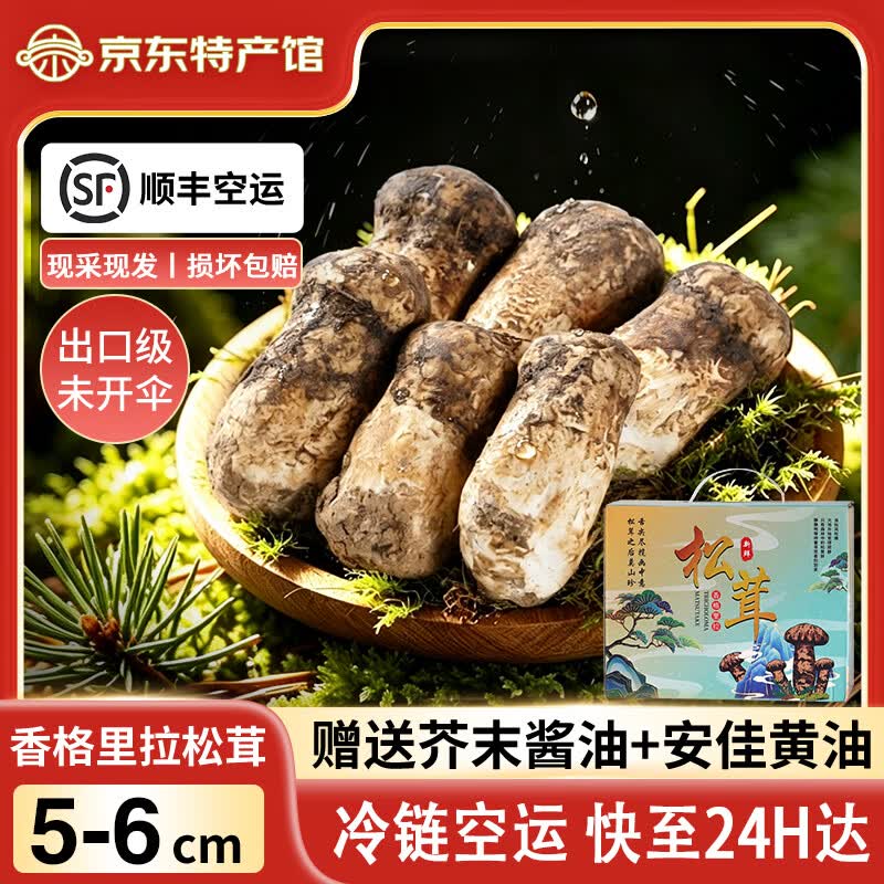 云创岳品香格里拉新鲜松茸菌子蘑菇出口级未开伞松茸礼盒团购顺丰冷链空运 出口级未开伞5-6cm 255g