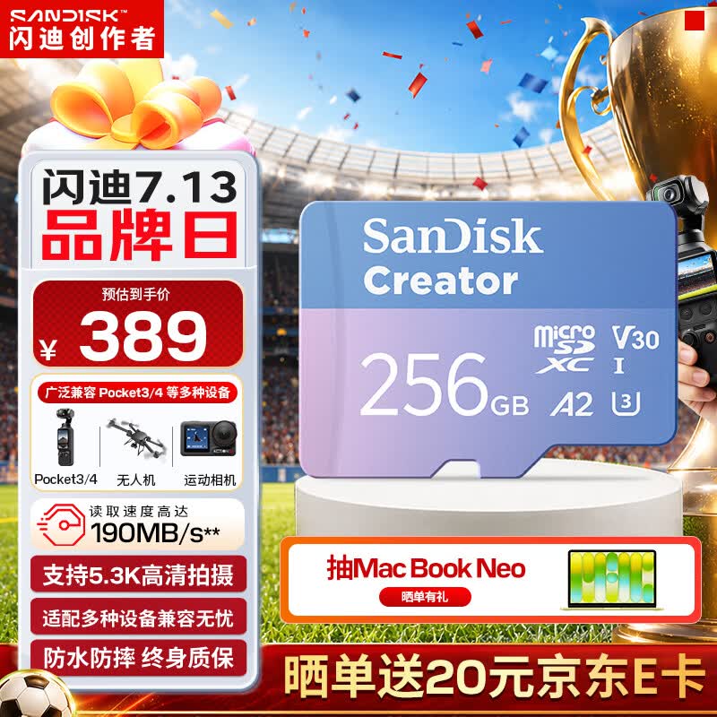 闪迪（SanDisk）创作者 闪迪内存卡TF卡 行车记录仪运动相机监控存储卡 运动相机大疆pocket3 4内存卡 V30极速粉卡 256GB 官方标配