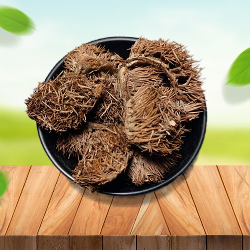 山间谷草正宗 风栗壳500g板栗壳栗毛壳 栗刺壳风栗壳板栗外壳