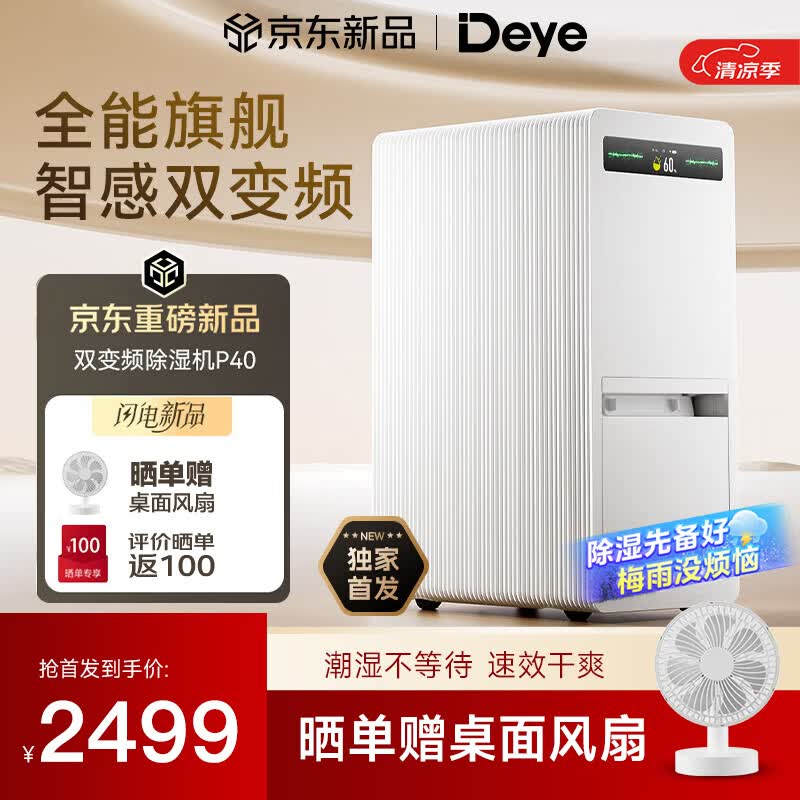 德业（Deye）双变频除湿机40升除湿量家用净化抽湿机卧室地下室客厅防潮除湿器干衣轻音等离子DYD-P40 40L/天 70-120㎡ DYD-P40