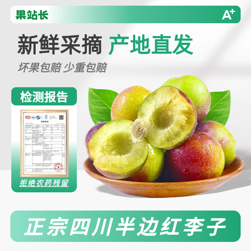 果站长正宗四川半边红茵红李脱骨李子新鲜当季水果五月脆李 特大果【20g+】 净重4.5-5斤