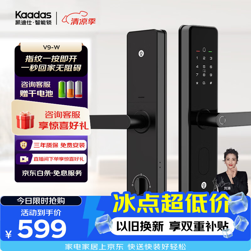 凯迪仕（KAADAS）智能门锁 指纹识别 防盗门锁密码锁 入户门电子智能锁 V9-W