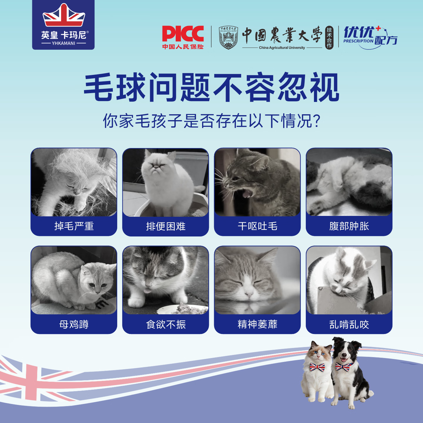 英皇卡玛尼中国农大研发 宠物排毛化毛球片冻干魔方猫咪狗狗化毛膏调理肠胃 一颗双效【化毛排毛+固毛美毛】猫犬通用 51g*3罐