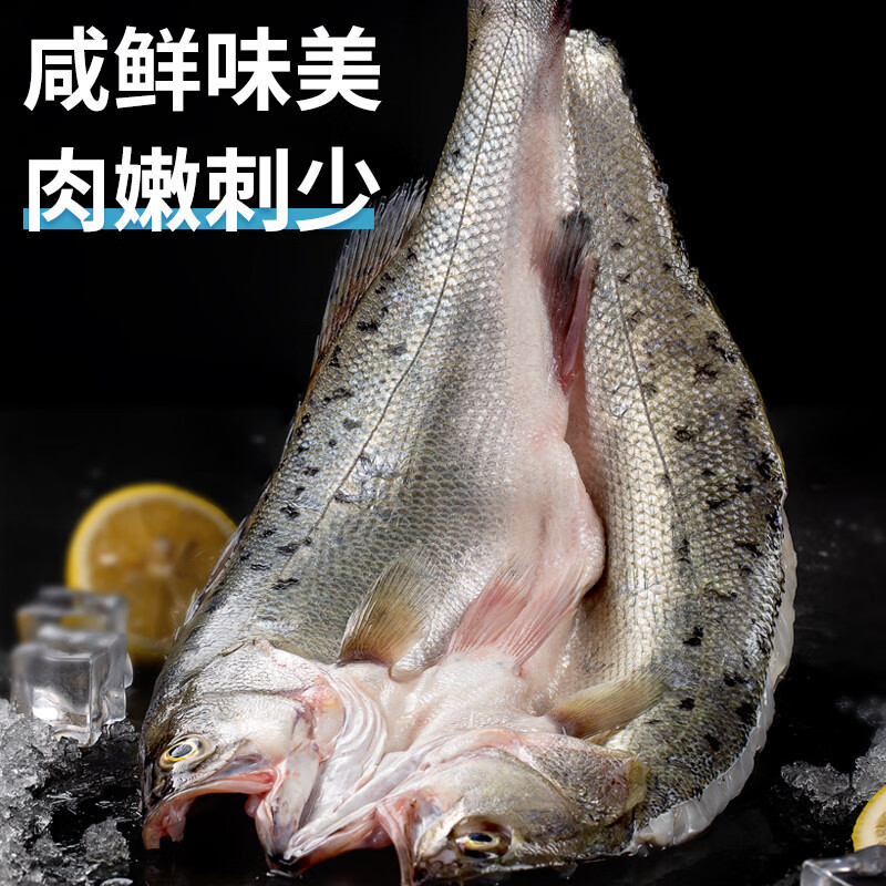 百鲜洽深海七星海鲈鱼开背三去整鱼速冻锁鲜真空包装免处理清蒸烤鱼食材 海鲈鱼400g-500g条*3条【三去开背免处理】