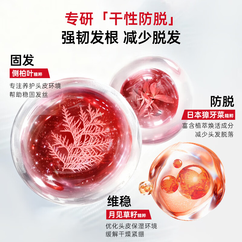 卡蓓诺(CABELO)丰盈润养防脱洗发水350ml干性脱发补水保湿蓬松【日本原装进口】 【干性防脱】润养洗发水180ml*2+润养护发素180ml*1
