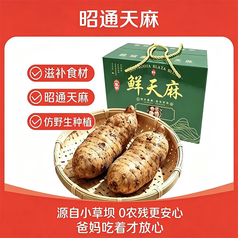 云南昭通小草坝新鲜天麻 高原天麻现挖 源头直发包邮 【特大果3斤礼盒】 2-3个/斤  1500g*1箱 精选特级麻
